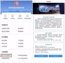 深圳開創國企公共服務 集中接入城市移動政務平臺先河