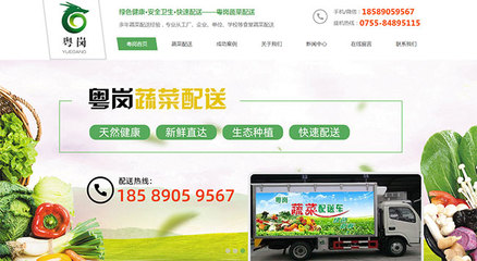 廣東新杰膳食服務-東莞長安蔬菜配送網站建設成功案例
